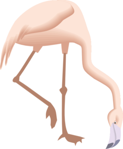 Flamingo Bending Down Clip Art